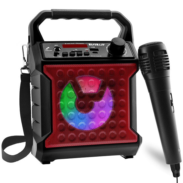 Risebass Portable Karaoke Machine with Microphone - Home Karaoke System with Party Lights for Kids and Adults - Rechargeable USB Speaker Set with FM Radio, SD/TF Card Support, and AUX-in - EverythingWhatYouWant